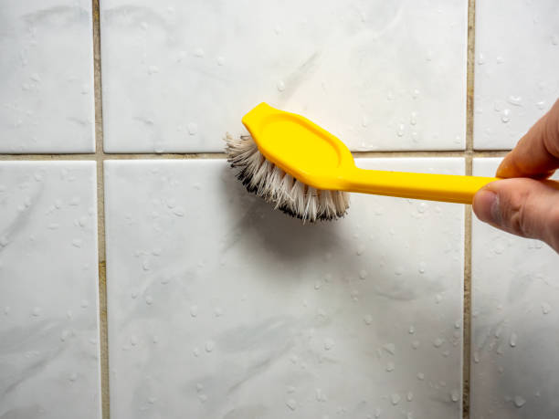 Best Black Mold Remediation in Deale, MD