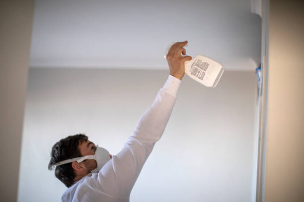 Best Post-Flood Mold Remediation in Deale, MD