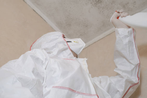 Best Residential Mold Remediation in Deale, MD