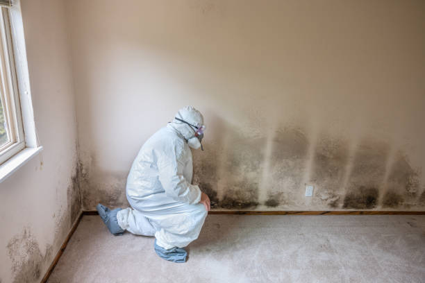 Best Industrial Mold Remediation in Deale, MD